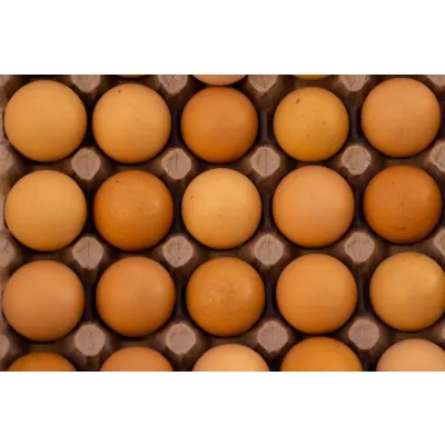 Free-Range Table Eggs (Dozen)