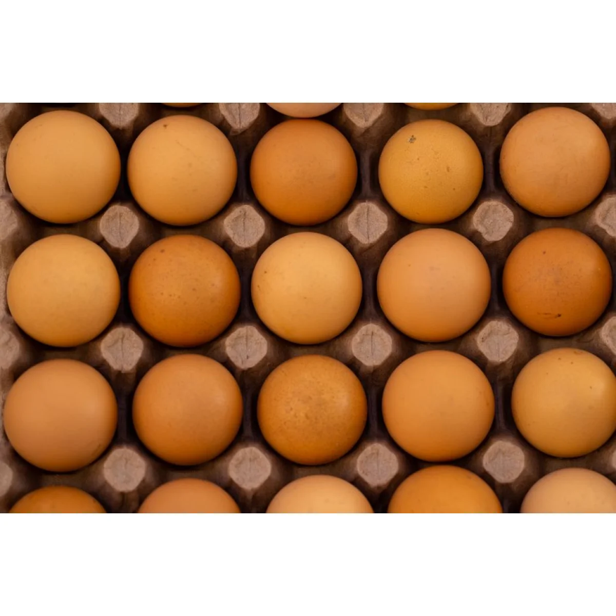 Uncaged table eggs
